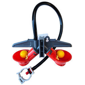 Bebedouro Automático Tipo Copinho Para Pintinhos