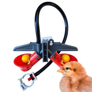 Bebedouro Automático Tipo Copinho Para Pintinhos