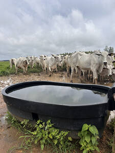 Bebedouro Para O Gado - Hidramax 1300