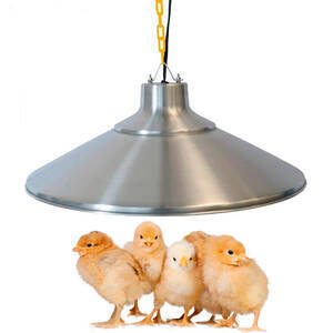 Campânula Elétrica Para Aquecimento Aves Pintinhos115W