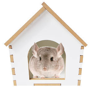 Casa Brinquedo Toca Chinchila Mini Coelho Porquinho