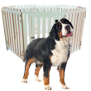 Cercado Para Cachorro Cães Médios E Diversos Pets Luxo
