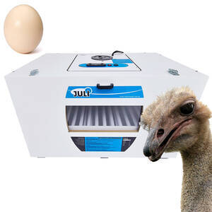 Chocadeira Automática Digital Para 12 Ovos De Avestruz