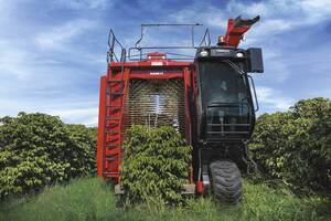 Colheitadeira de Café Case IH Coffee Express Multi