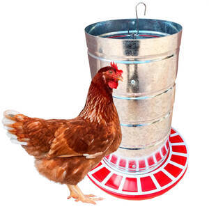 Comedouro Automático Para Aves Em Geral 20 Kg - 1 Un