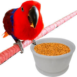 Comedouro Tratador Pote Ração Pet Água Comida