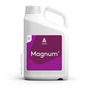 Inseticida Magnum Acefato - ADAMA