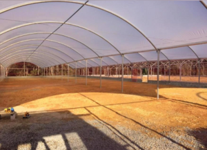 Estruturas De Estufas Agrícolas