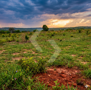 Fazenda a venda em Alcinópolis MS