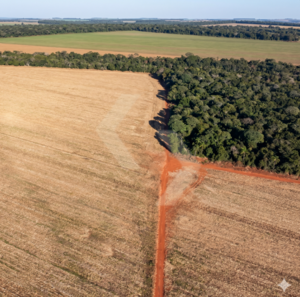 Fazenda a venda em Amambai MS
