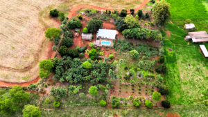 Fazenda A Venda Em Anápolis Go