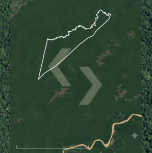 Fazenda a venda em Beruri AM