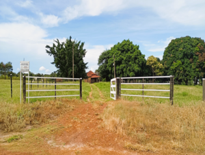 Fazenda A Venda Em Bom Jardim De Goiás Go