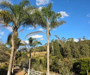 Fazenda A Venda Em Bom Repouso Mg