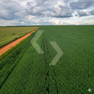 Fazenda a venda em Campo Verde MT