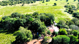 Fazenda A Venda Em Cocalinho - Mt