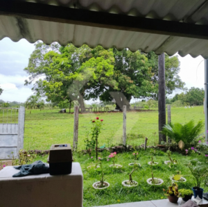 Fazenda a venda em General Carneiro MT
