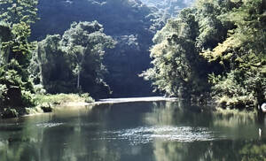 Fazenda A Venda Em Iporanga Sp