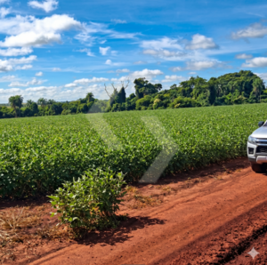 Fazenda a venda em Itaporã MS