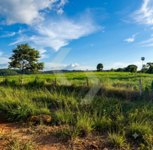 Fazenda a venda em Marabá PA