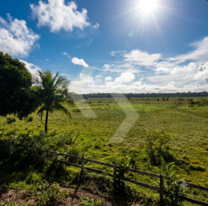 Fazenda a venda em Muaná PA