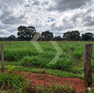 Fazenda a venda em Nioaque MS