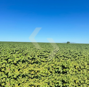 Fazenda a venda em Nova Maringá MT