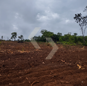 Fazenda a venda em Nova Xavantina MT