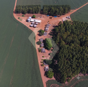 Fazenda a venda em Novo São Joaquim MT