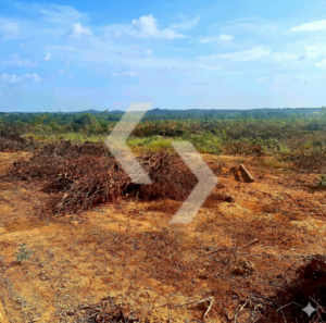 Fazenda a venda em Peixoto de Azevedo MT