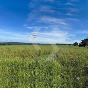 Fazenda a venda em Poxoréu MT