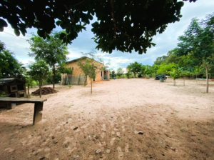 Fazenda A Venda Em Primavera Do Leste Mt