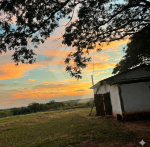Fazenda a venda em Primavera do Leste MT