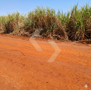 Fazenda a venda em Quirinópolis GO
