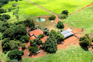 Fazenda A Venda Em São Luís Dos Montes Belos-Go