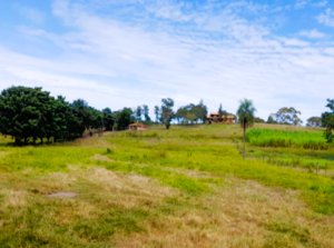 Fazenda A Venda Em Santa Rita Do Passa Quadro Sp