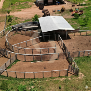 Fazenda a venda em São Salvador do Tocantins TO
