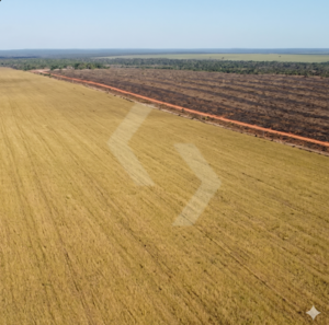 Fazenda a venda em Tocantínia TO