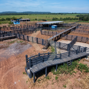 Fazenda a venda em Vila Rica MT