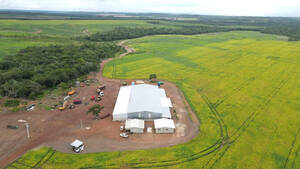 Fazenda Em Pedro Afonso, Tocantins.