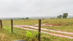 Fazenda Para Arrendamento Em Mato Grosso Mt