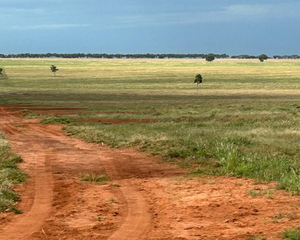 Fazenda Para Arrendamento Em Nova Andradina - Ms