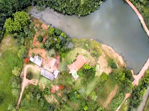 Fazenda Para Pecuária A Venda Em Abadiânia Go