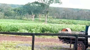 Fazenda Para Pecuária Venda Em Corumbá Ms