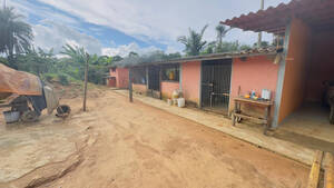 Fazenda Para Venda Em Abadiânia, Go