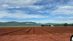 Fazenda Para Venda Em Anápolis-Go