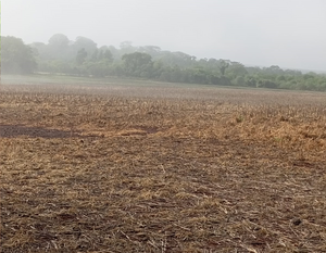 Fazenda Para Venda Em Dourados Ms