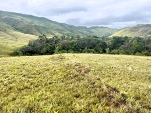 Fazenda Para Venda Em Em Niquelândia, Go
