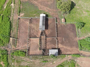 Fazenda Para Venda Em Gurupi To