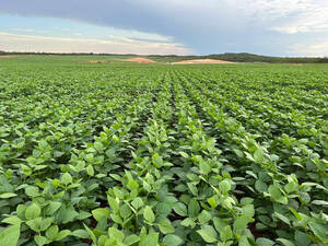Fazenda Para Venda Em Itacajá To